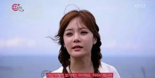 崔智友蔡琳尹恩惠刘仁娜刘荷娜韩恩贞金宣儿郑丽媛李多海朴诗妍_韩剧整容女明星_韩国整容女明星颜值变化